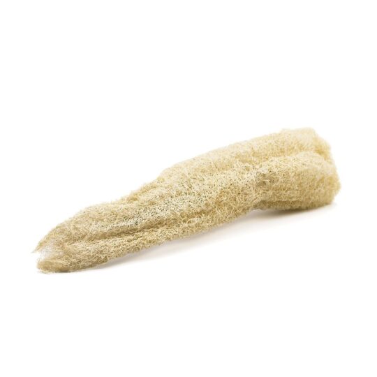 Loofah Sponge